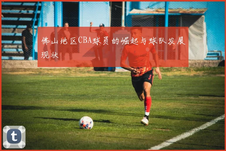 佛山地区CBA球员的崛起与球队发展现状