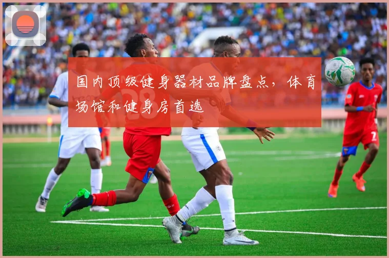 国内顶级健身器材品牌盘点，体育场馆和健身房首选