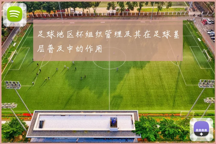 足球地区杯组织管理及其在足球基层普及中的作用
