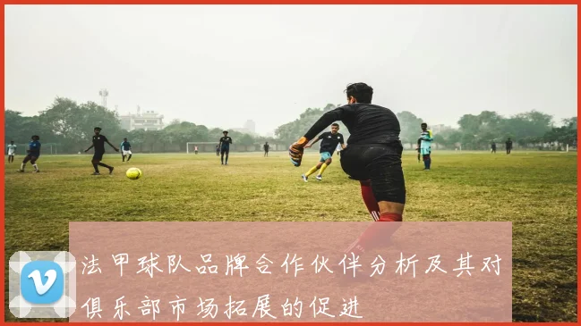 法甲球队品牌合作伙伴分析及其对俱乐部市场拓展的促进